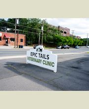 Epic Tails Veterinary Clinic image 1