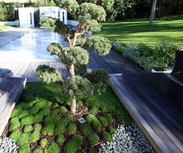 Ambiance Paysage image 6