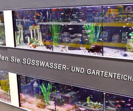 Barbara Rauschmann Zoohandlung Bild 1