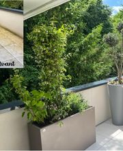 Daniel Moquet signe vos jardins - Ent. Mongin - Bernard image 3