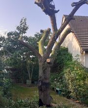 Allais et Fils image 2