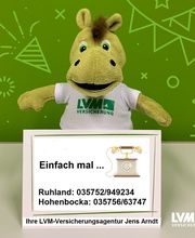 LVM Versicherung Jens Arndt - Versicherungsagentur Bild 3