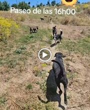 La Huella Azul S.L. imagen 2