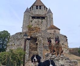 Antho Educanine image 8