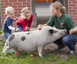 Kinderbauernhof Wigger Bild 21