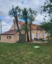 Brac José Elagage Abattage 18 image 5