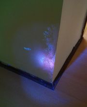 Schimmelbeseitigung sichtbar gemacht...