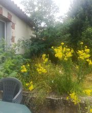 NETTOIE ET DEMENAGE TOUT 85 image 3