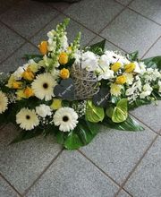 Rosavel la rose des vents image 16