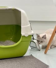 Katzen-Praxis.ch Bild 10