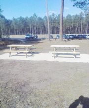 MANO PAYSAGE image 4