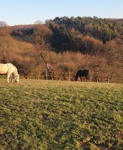 Ferienwohnung Schlossblick Bad Breisig Bild 3