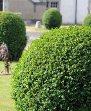 M&M Gartenbau AG Bild 9