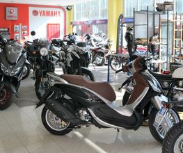 Gallery Cliente