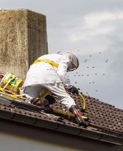 LM Nuisibles image 4