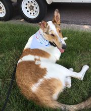 Ahrens Heating and Air Conditioning image 20