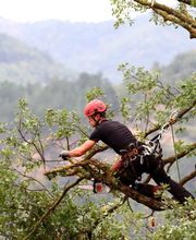 Horizon vertical image 4