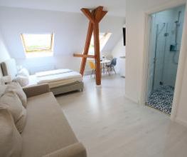 Standard Apartment (ohne Sauna) im Dachgeschoss:
Wohn/Schlafbereich mit Bettsofa und Küche