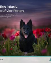 AgiStore Bild 1