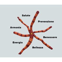Demichelis D.ssa Patrizia Dermatologa logo