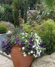 Boulic Paysages image 2