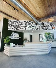 Green Dog Dental and Veterinary Center image 4