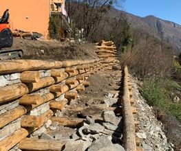 ONSFOREST Sagl Bild 9