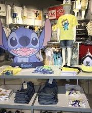 Orchestra BERCK image 7