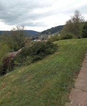 CL Multi Services image 18