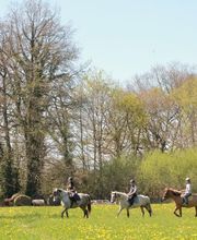 Les Sabots de Villecartier image 9