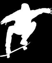 Skate Coach Bild 1