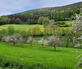 Gasthaus Zum Stillen Tal Bild 5
