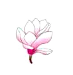 Luca Antonini Giardinieri Paesaggisti