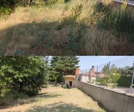 jardineria_segovia-2.jpg