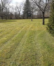 AlexJardin image 12