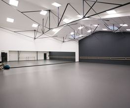DKDanse image 10