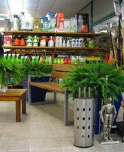 Viveiros Adoa, S.L. (Tameiga) imagen 15