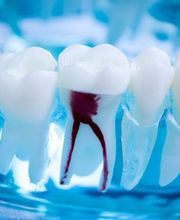 Centre Dentaire Champel Bild 3