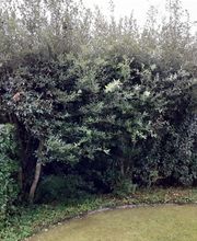 AlexJardin image 4