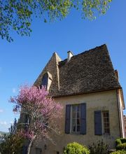 Chapoulie Thierry SARL image 1