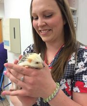 West Park Animal Hospital image 10