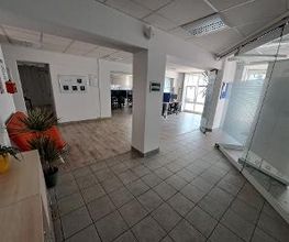 Eingangsbereich mit Säule. Links ein Regal mit Pflanzen und ein rotes Sofa, rechts eine Glaswand. Im Hintergrund sind mehrere Arbeitsplätze erkennbar.