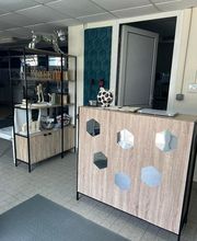 Concept Toilettage by Fabrice image 12