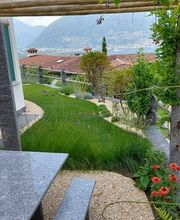 Giardiniere Hagmann Di Carlo e Pichierri SAGL Bild 6