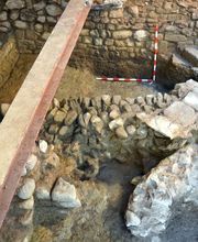 IN SITU SCP imagen 20