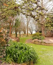 Ameline Arbora image 18