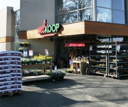 Vriezenveen Welkoop NF