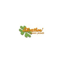 Azienda Agricola Silvestroni Stefano logo