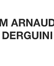 Derguini Arnaud image 2
