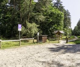 FriedWald Bernau bei Berlin Bild 12